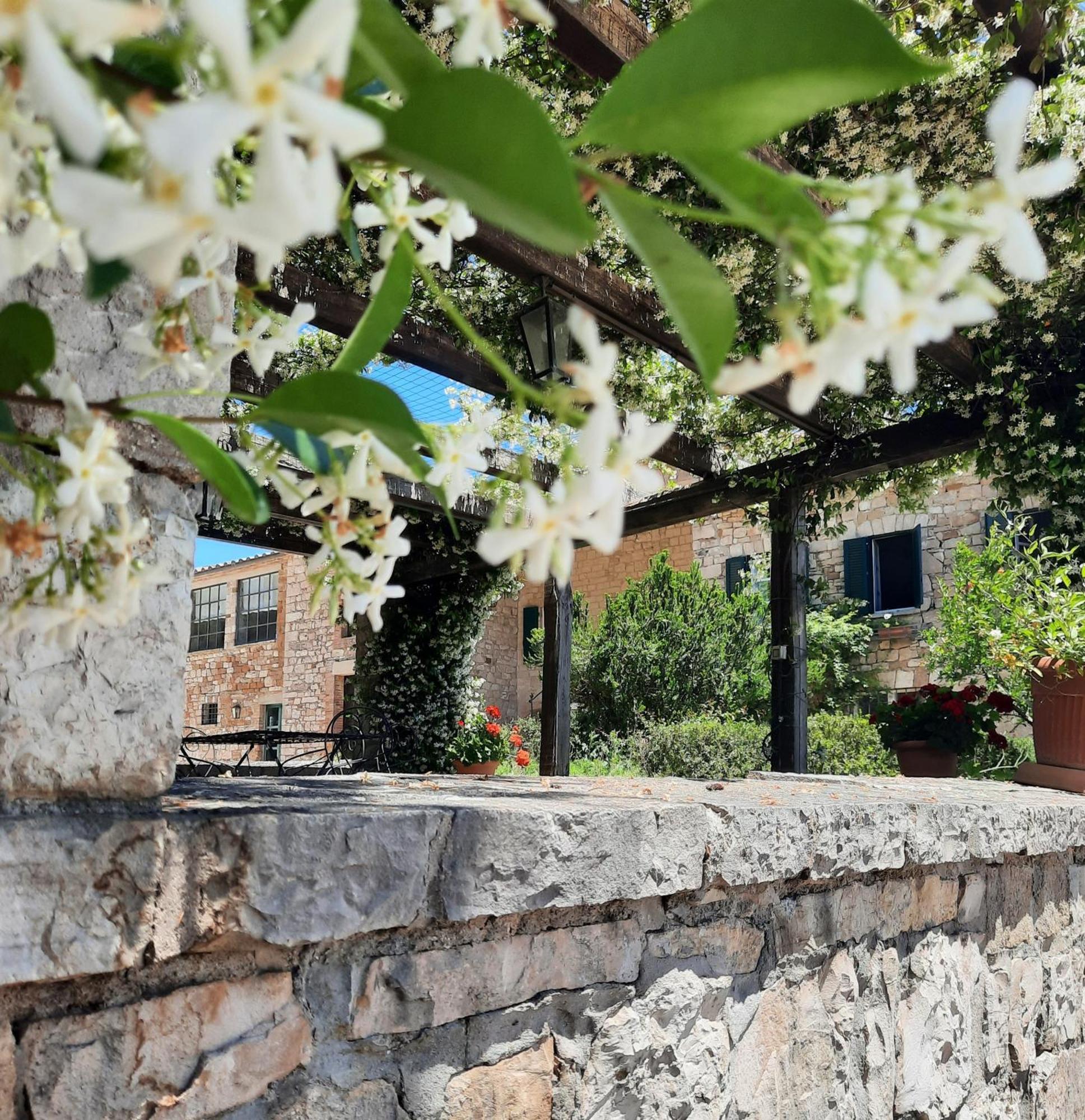 Agriturismo Tenuta Conti Faina Fratta Todina Екстериор снимка